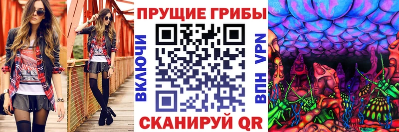 где можно купить наркотик  Кяхта  Псилоцибиновые грибы мухоморы 